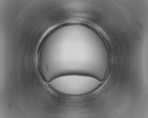 X0000112731232200908201006