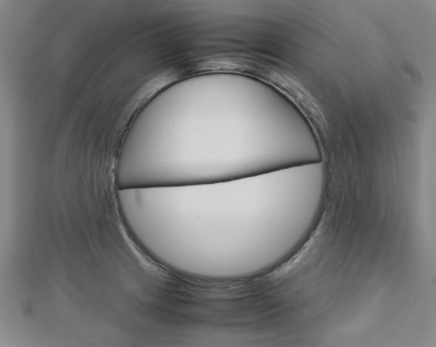 X0000112731233200908201006