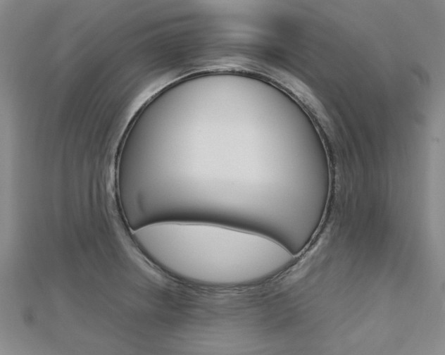 X0000112731234200908201006