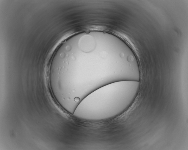 X0000112731235200908201006