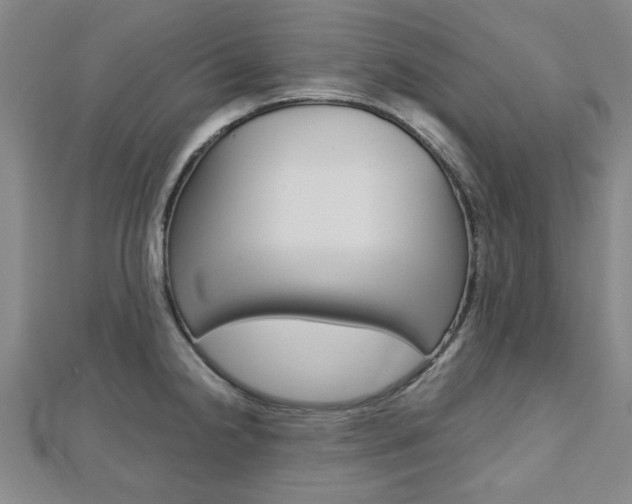 X0000112731238200908201006