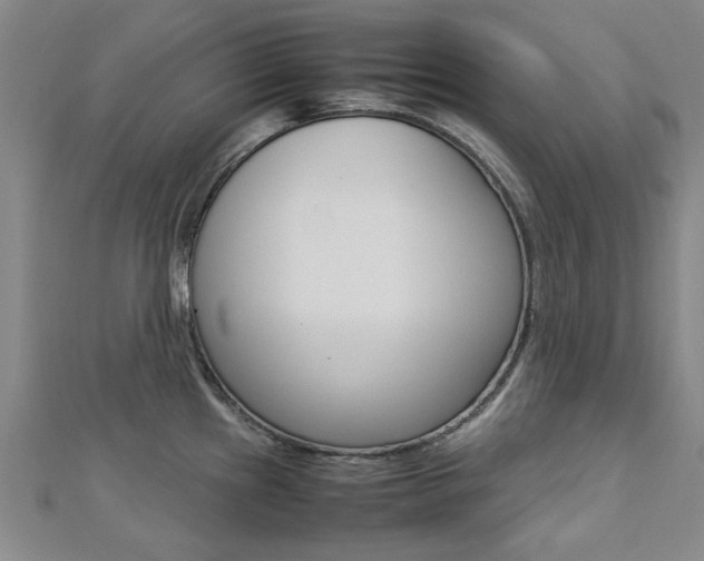 X0000112731241200908201006