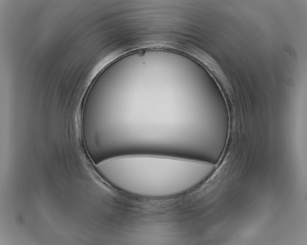 X0000112731242200908201006