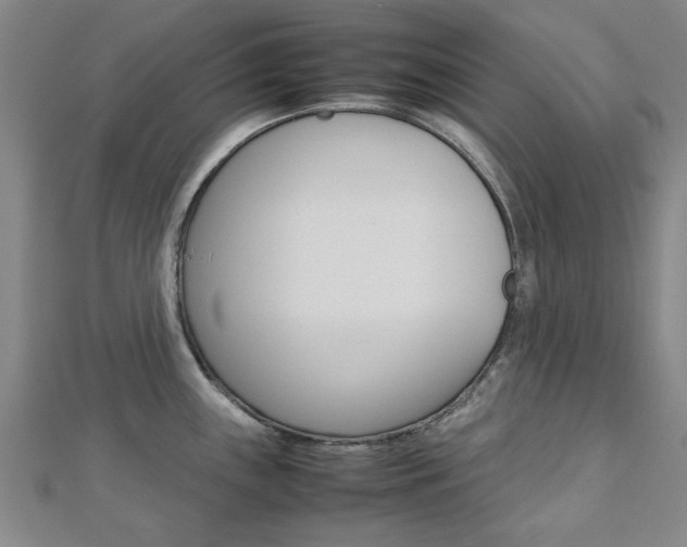 X0000112731243200908201006
