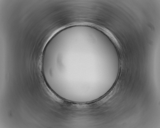 X0000112731244200908201006