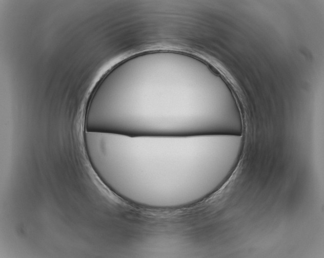 X0000112731246200908201006