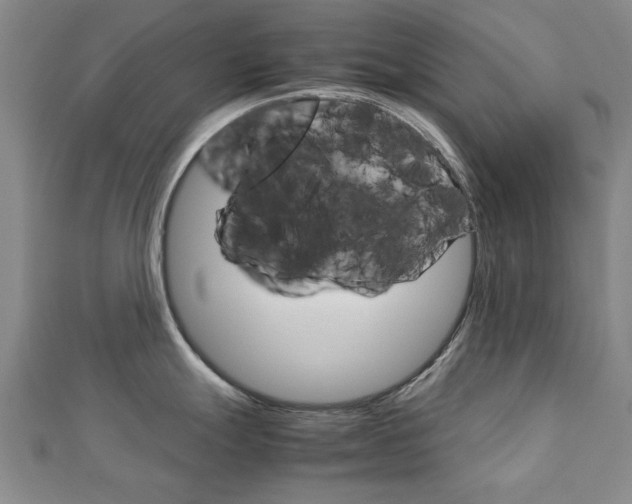 X0000112731247200908201006