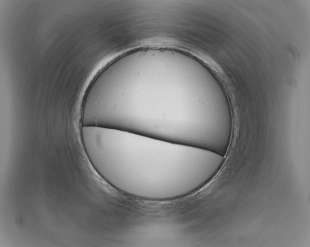 X0000112731248200908201006