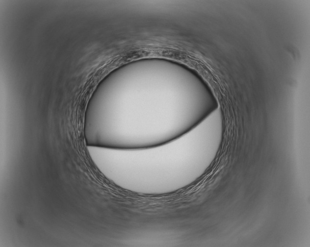 X0000112731253200908201005