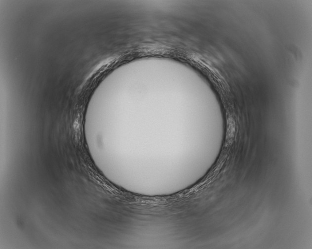 X0000112731254200908201005