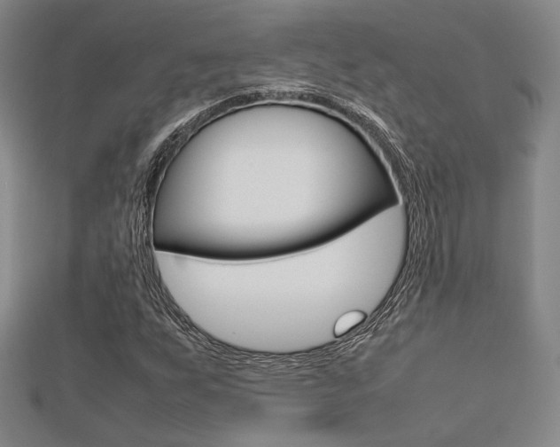 X0000112731255200908201005
