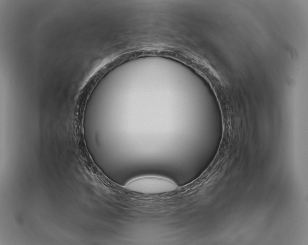 X0000112731256200908201005