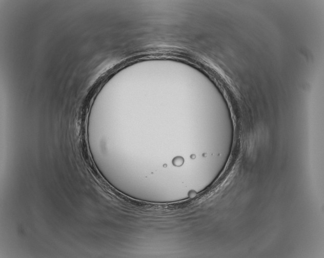X0000112731259200908201005