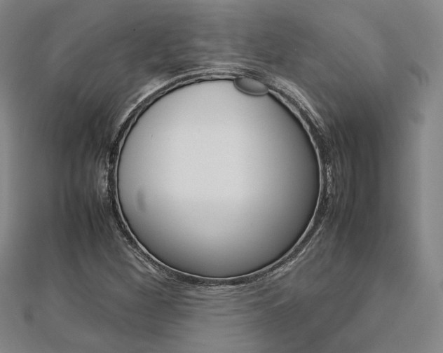 X0000112731260200908201005