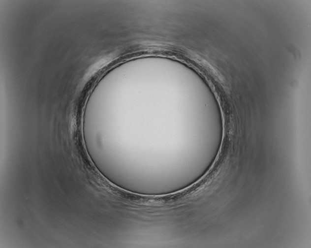 X0000112731261200908201005