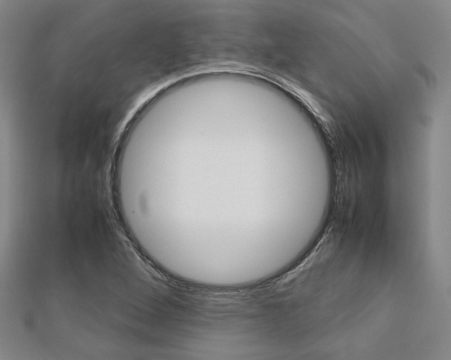 X0000112731264200908201005