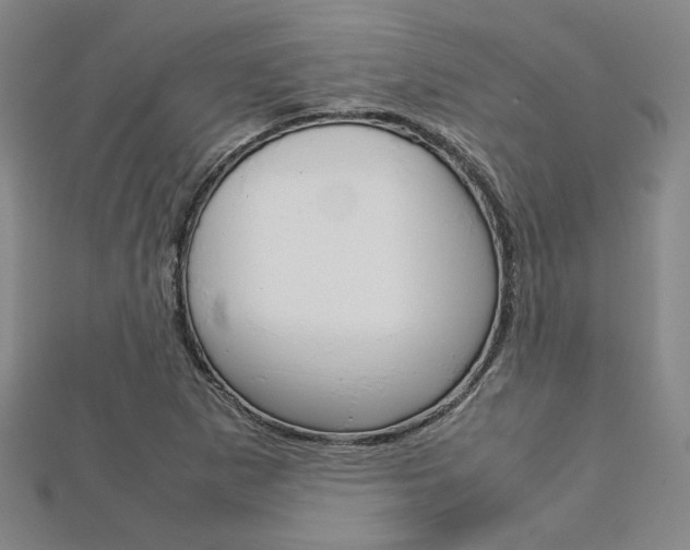 X0000112731265200908201005