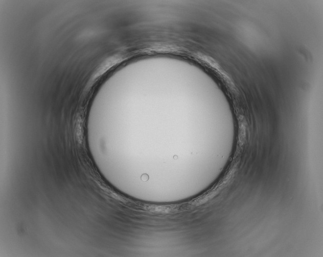 X0000112731266200908201005