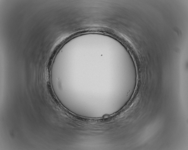 X0000112731267200908201005