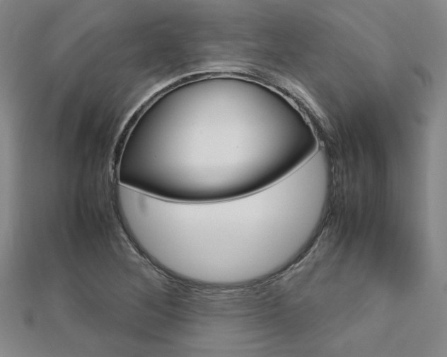X0000112731268200908201005