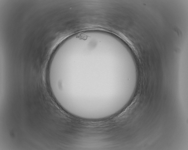 X0000112731269200908201005