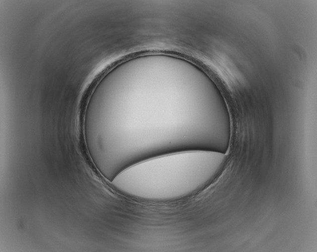 X0000112731270200908201005
