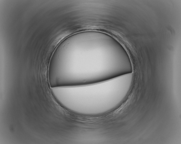 X0000112731273200908201005