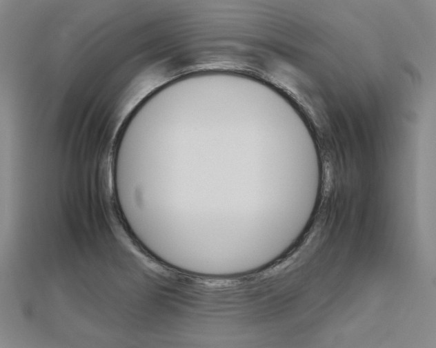 X0000112731274200908201005