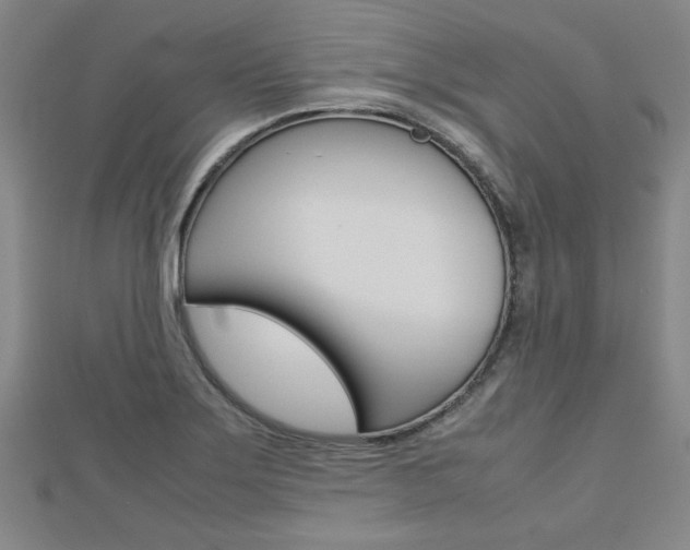 X0000112731275200908201005