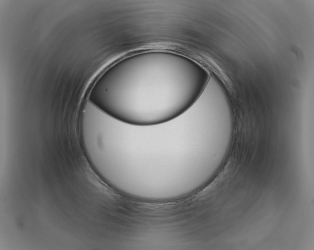 X0000112731276200908201005