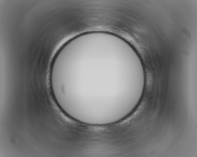 X0000112731278200908201005