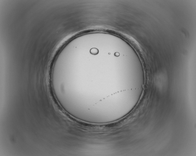 X0000112731279200908201005