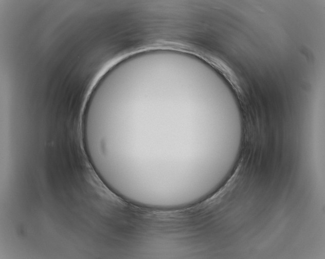 X0000112731280200908201005