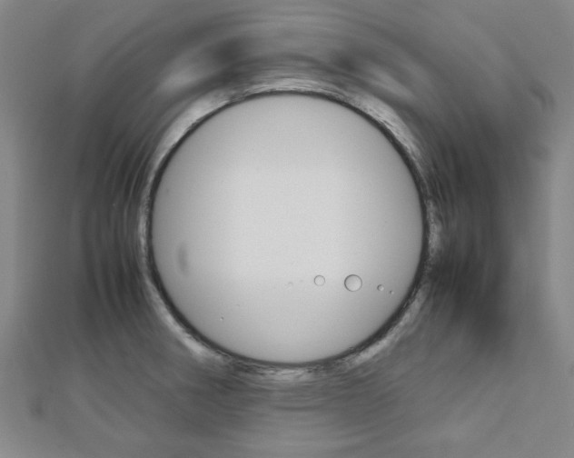 X0000112731282200908201005