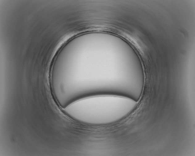 X0000112731283200908201005