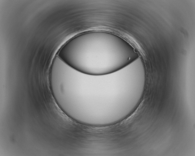 X0000112731284200908201005