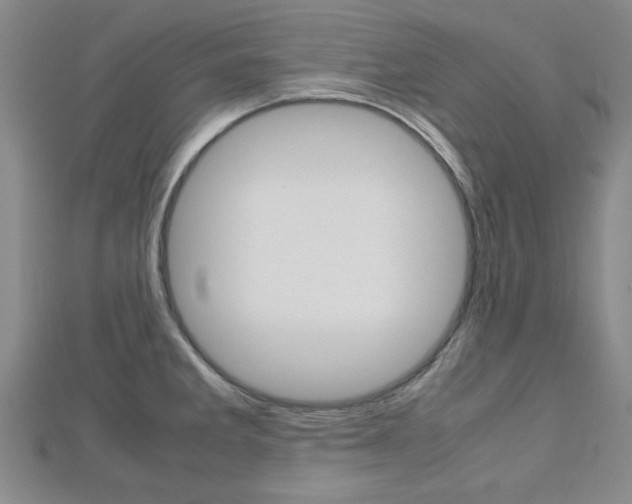 X0000112731285200908201005