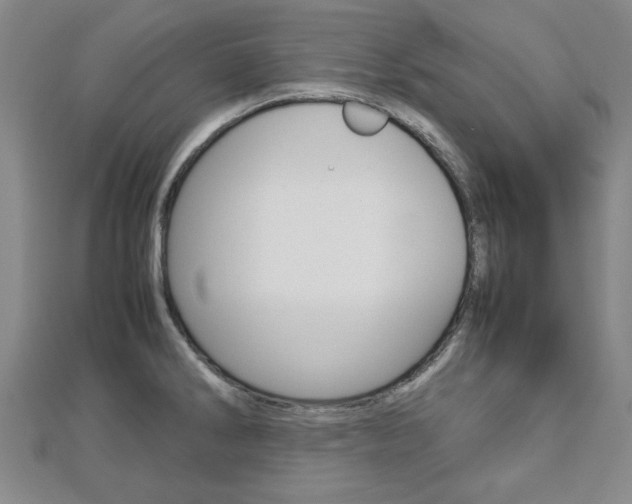 X0000112731286200908201005