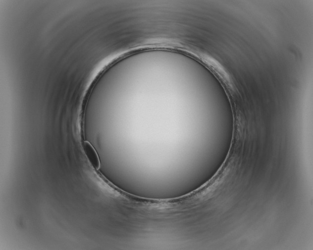 X0000112731288200908201005