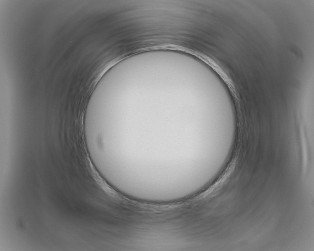 X0000112731289200908201005