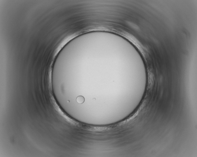 X0000112731290200908201005