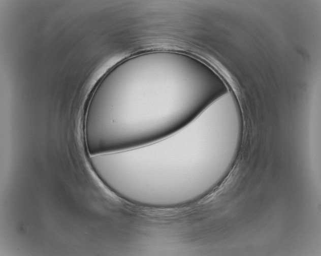 X0000112731293200908201005
