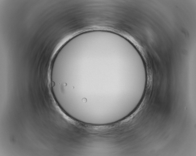 X0000112731294200908201005