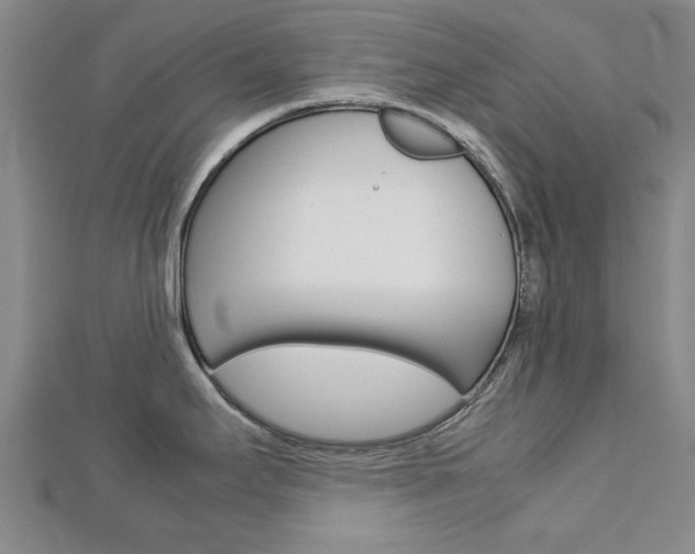 X0000112731295200908201005