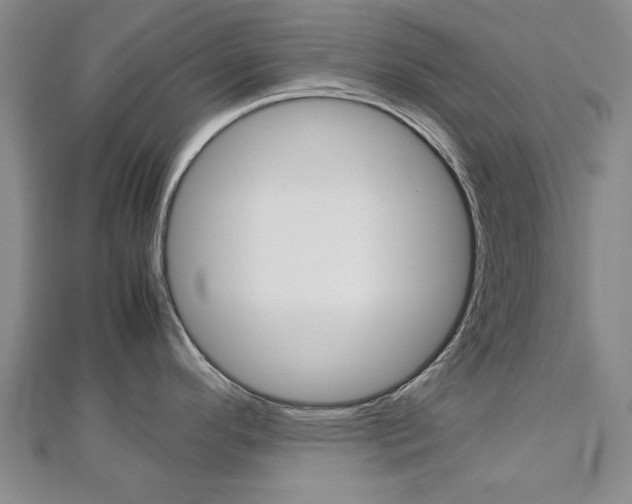 X0000112731296200908201005