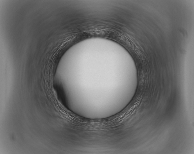 X0000112731297200908201004
