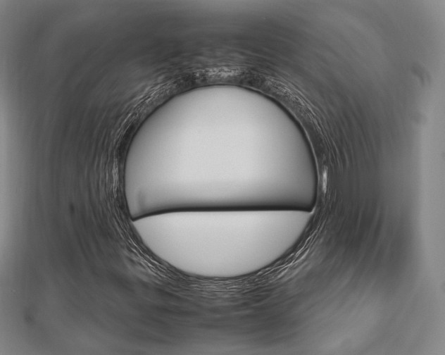 X0000112731299200908201004