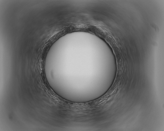 X0000112731301200908201004
