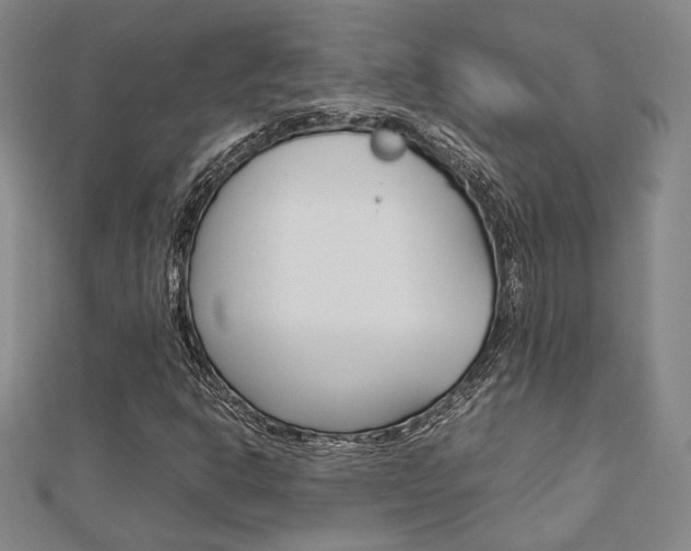 X0000112731302200908201004
