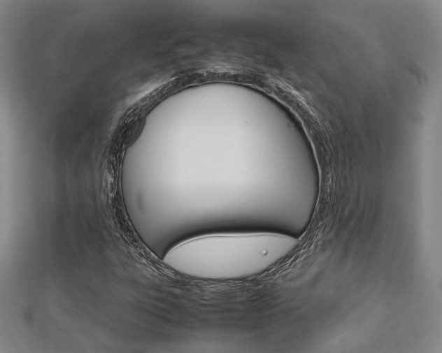 X0000112731303200908201004